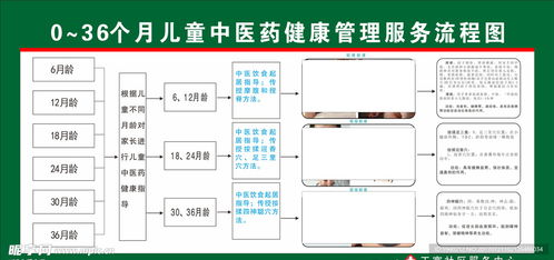 兒童中醫(yī)藥健康管理服務流程圖 信息系統(tǒng)集成與商業(yè)插畫設計